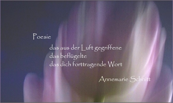 fb - Tulpe Poesie1 R Pola 04-02 Kunst 007